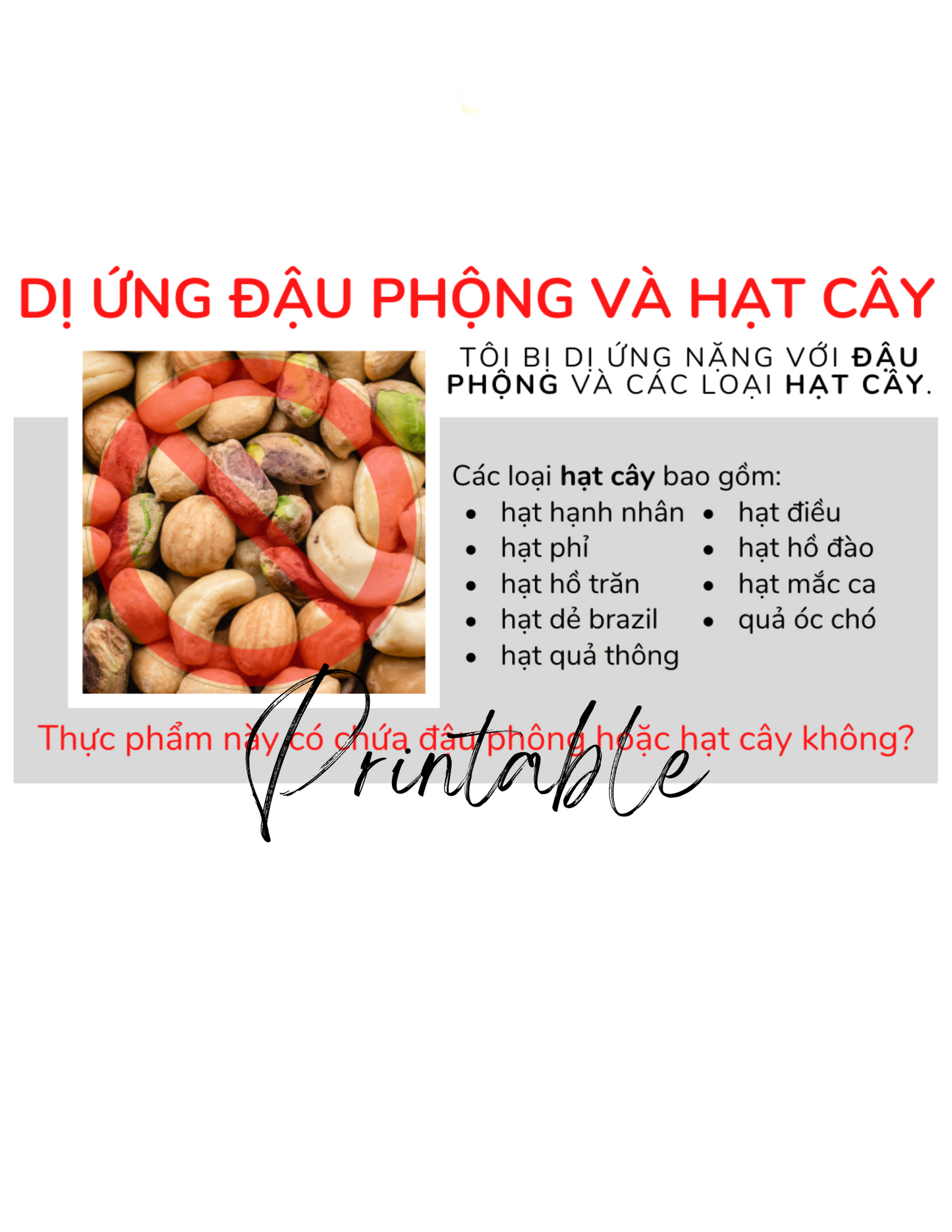 Vietnamese Peanut & Tree Nut Allergy Card - Printable Allergy Translation Card